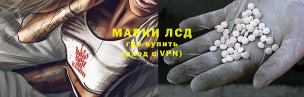 крисы Новый Уренгой