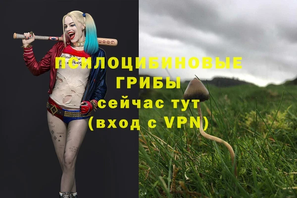амф Магадан