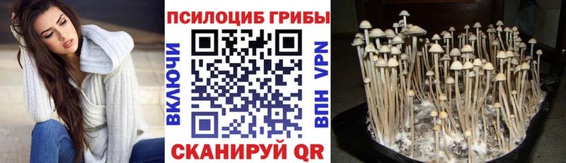 Псилоцибиновые грибы Cubensis мориарти официальный сайт Дно
