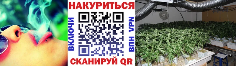 Шишки марихуана семена  где найти   Дно 